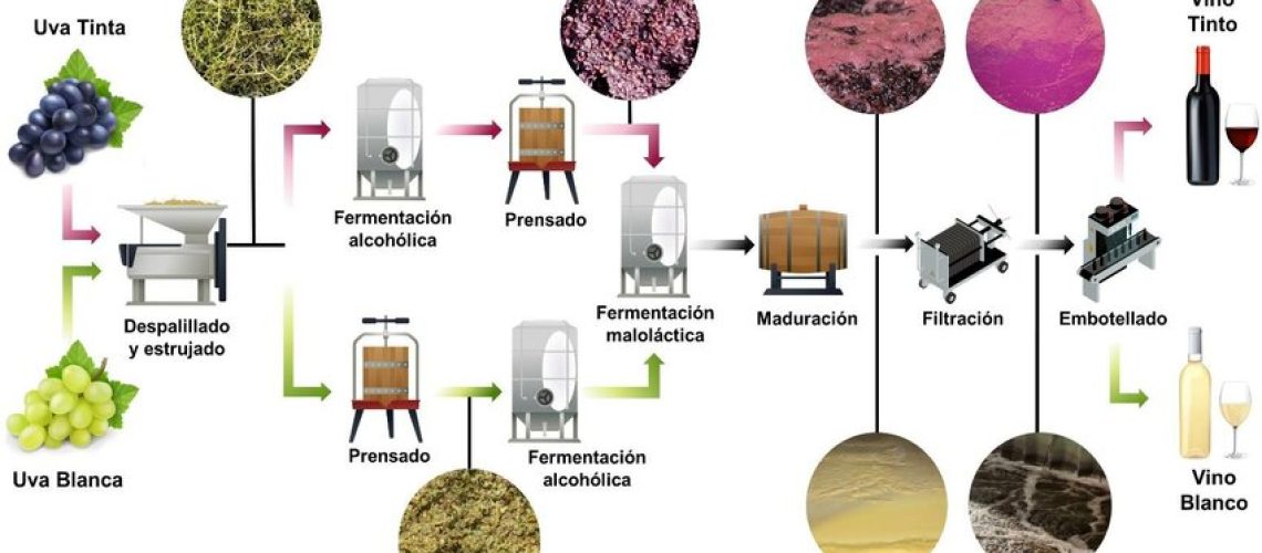 Figura-1-Proceso-de-elaboracion-del-vino-y-principales-subproductos-generados-en-cada